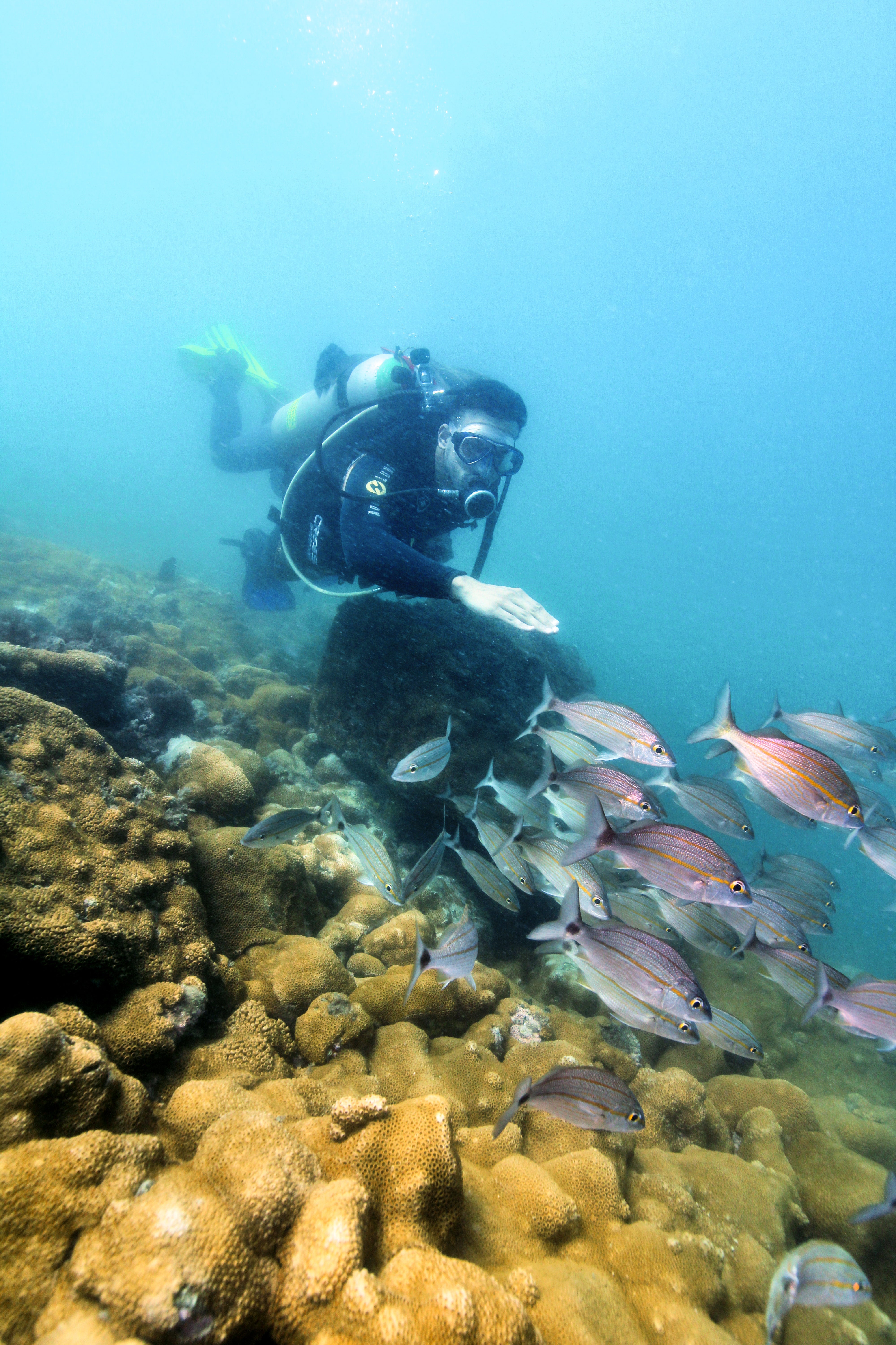 Arraial do Cabo (mergulho + Praias)